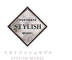 スタイリッシュモデル