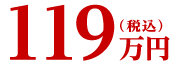 119万円(税込)