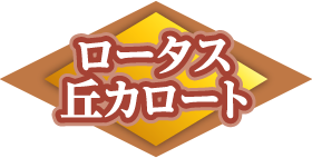 ロータス 丘カロート