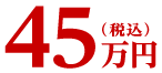 45万円(税込)